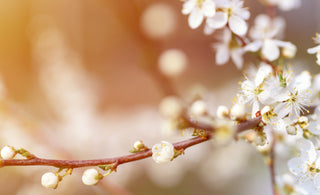 Natural Antihistamines: Your New Best Friends.