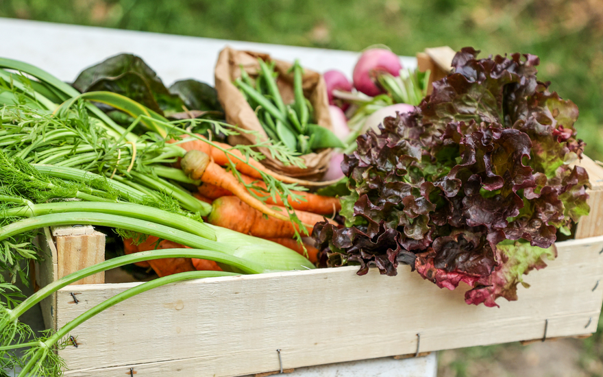 Eat with the Season: Why Spring Produce Is a Wellness Win