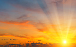 THE IMPORTANCE OF VITAMIN D