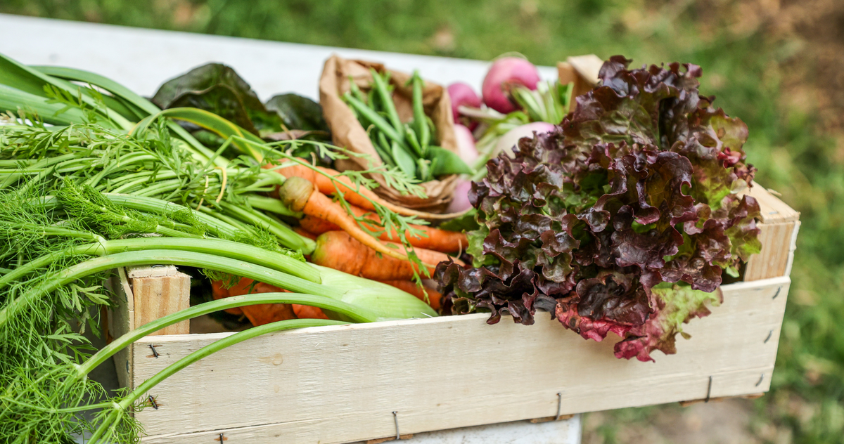 Eat with the Season: Why Spring Produce Is a Wellness Win – Ener-Life ...
