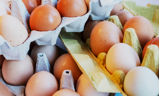 Ingredient Spotlight: Why Choline & Inositol Need to be in Your Daily Routine