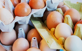 Ingredient Spotlight: Why Choline & Inositol Need to be in Your Daily Routine