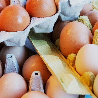 Ingredient Spotlight: Why Choline & Inositol Need to be in Your Daily Routine