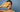 VITAMIN C AND SKIN HEALTH
